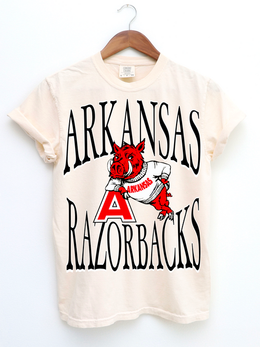 Arkanas Razorbacks 90's